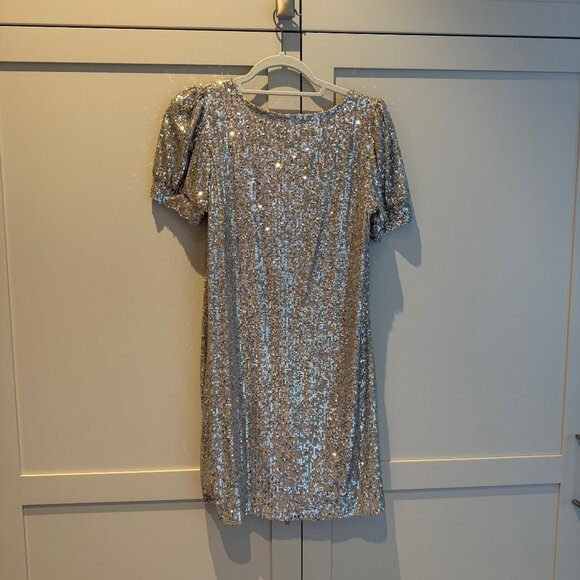 Cable and Gage holiday dress, silver sequence - Picture 3 of 4